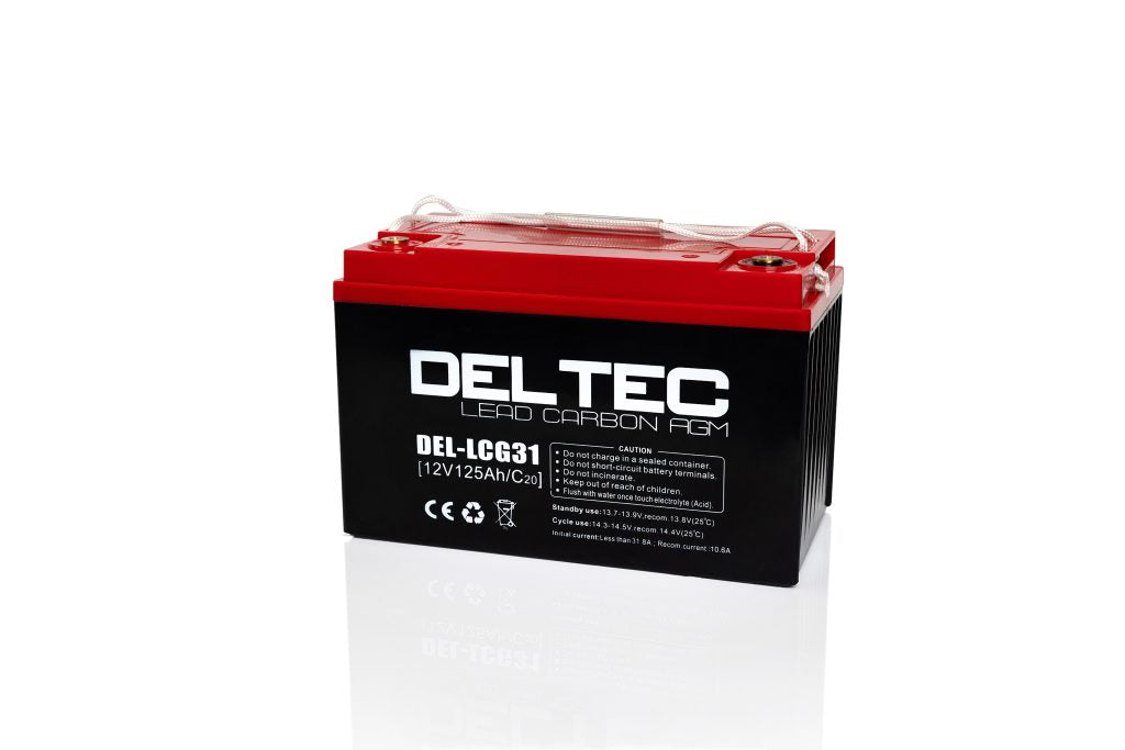 DEL-LCG31 Deltec Lead Carbon AGM