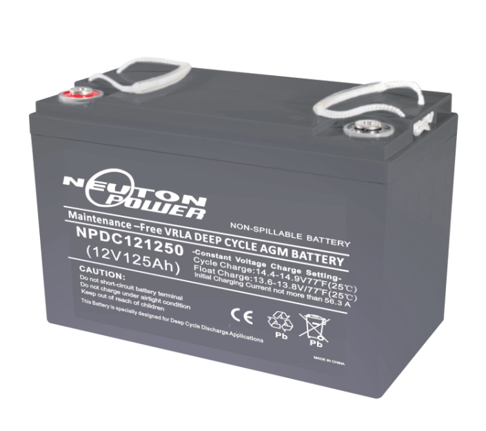 NPDC121250 Neuton Power